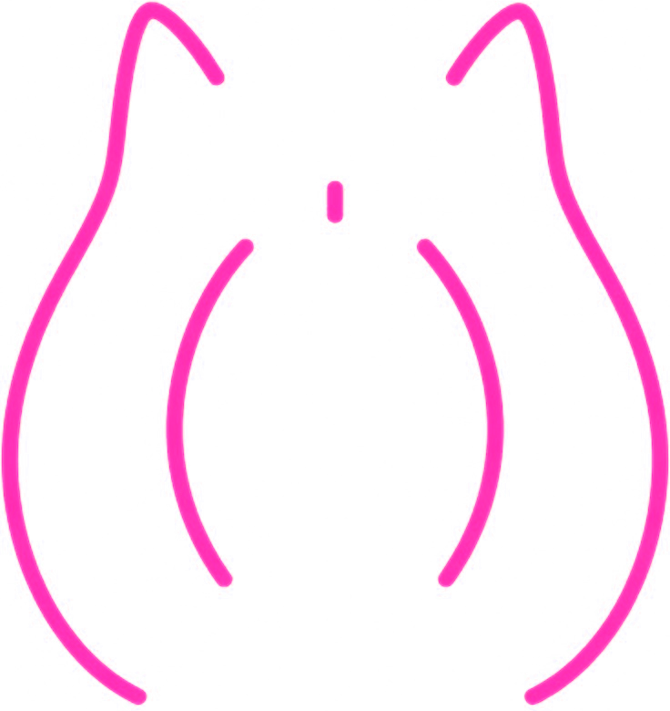 Pussycoin neon cat ears logo